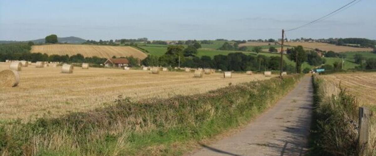 Farmland At Burton Court's Access Track