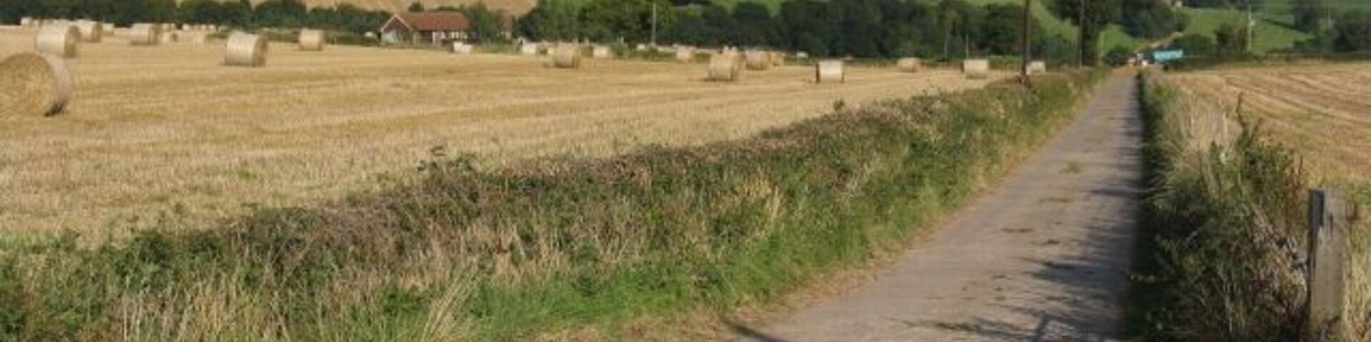 Farmland At Burton Court's Access Track