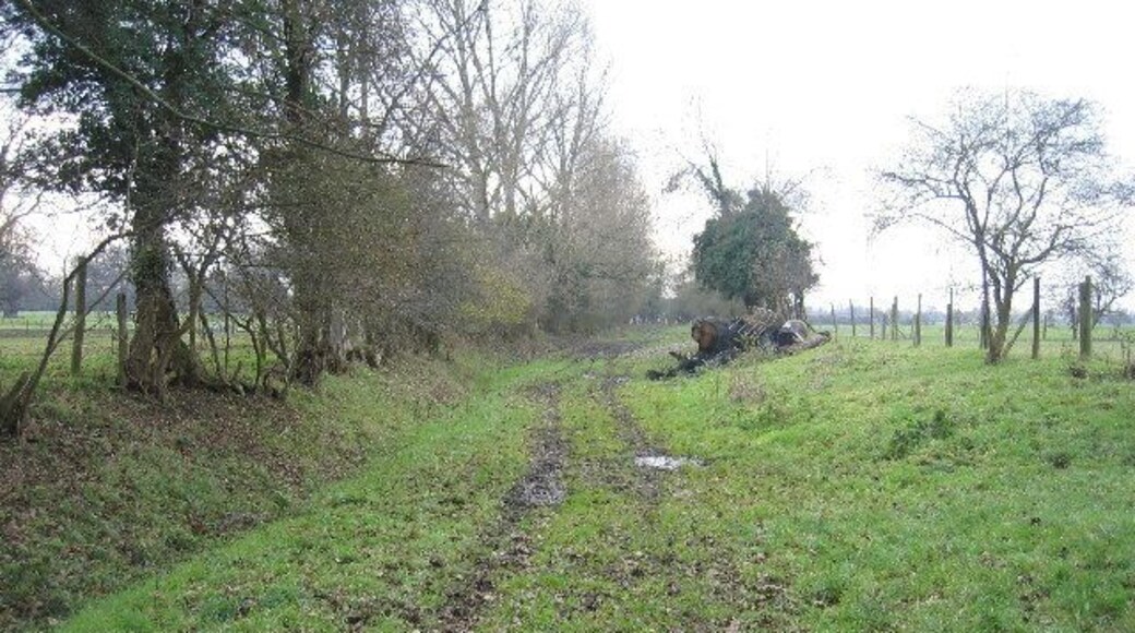 Green lane to Alveston Sluice. Nowadays this green lane finishes at the River Avon by the sluice but in former times it would have been the access route to the ford which used to cross the river at this point. Judging by the fan of lanes and byways on converging on this crossing on both side of the river this must have been a crossing of some significance at one time.