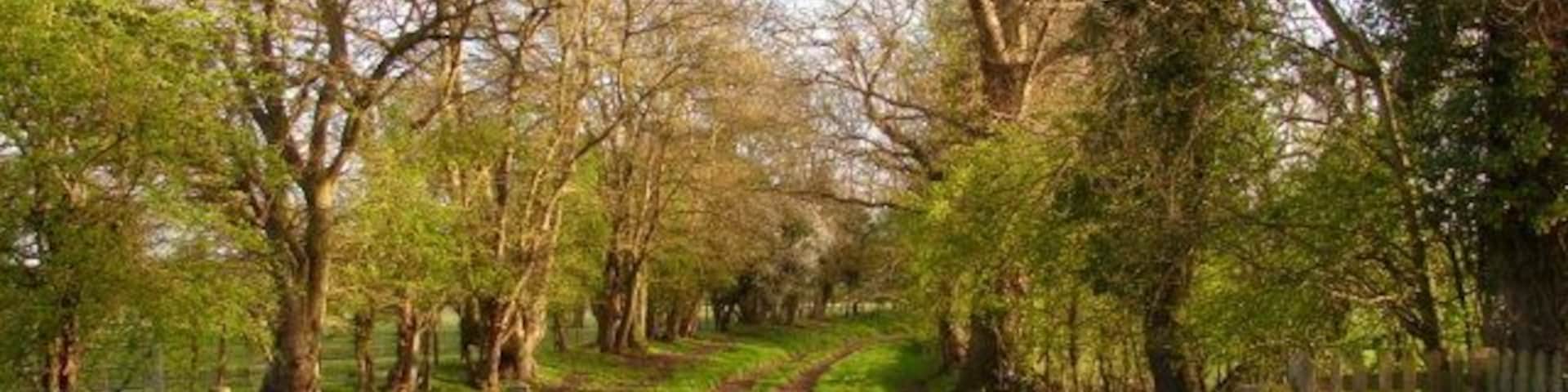 The way to the weir Start of the footpath part of the short track leading to Alveston Sluice.