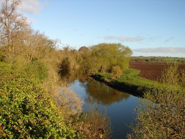 A calm river with dense vegetation on both sides, a clear sky, and a distant field.
