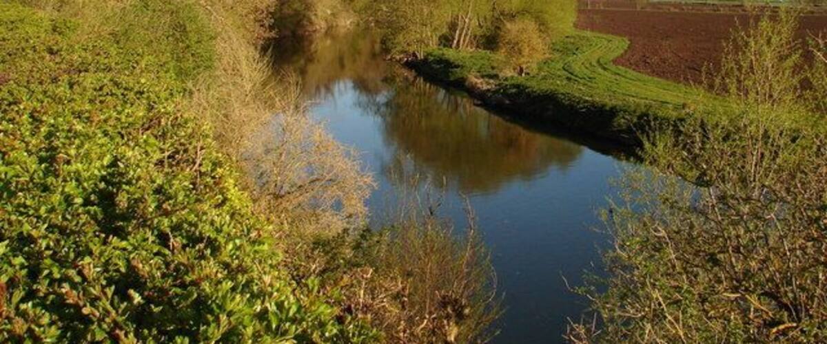A calm river with dense vegetation on both sides, a clear sky, and a distant field.