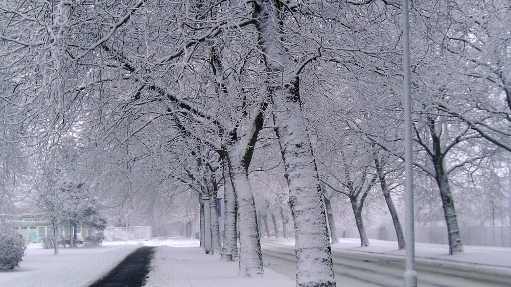 A snowy street in Bremerhaven