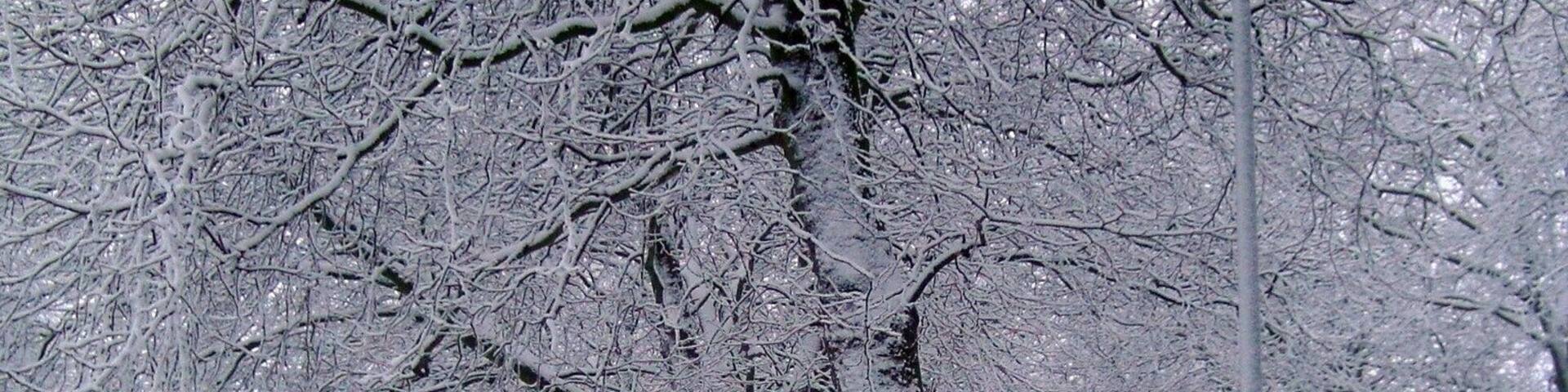 A snowy street in Bremerhaven