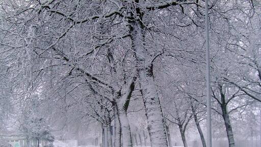 A snowy street in Bremerhaven