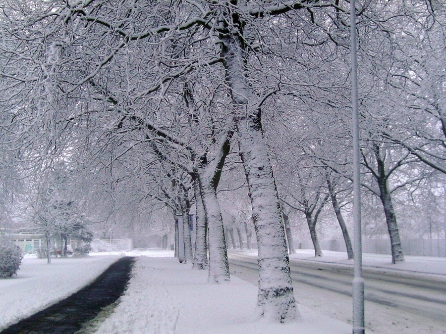 A snowy street in Bremerhaven