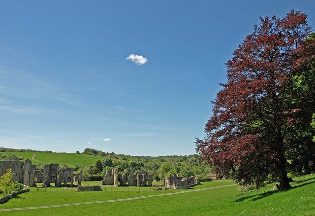 A historic site with ruins and a large tree with red leaves.