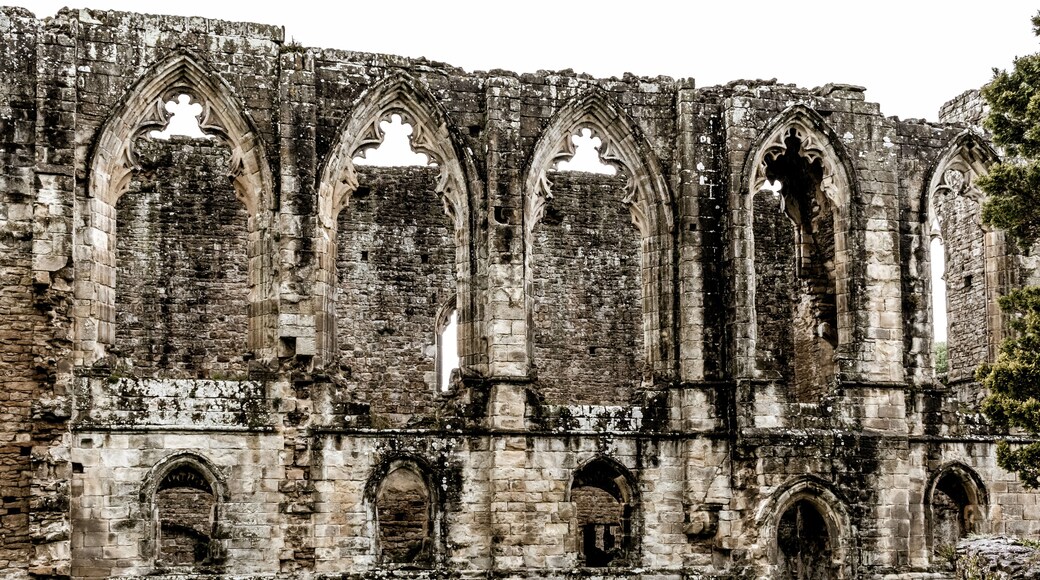 Edifici de pedra històric amb arcs gòtics i un pati enjardinat.