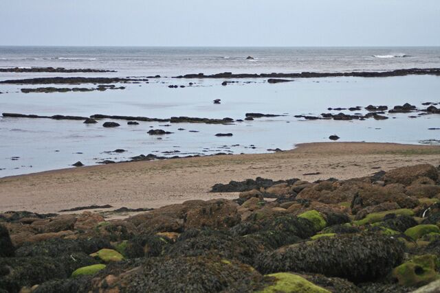 A rocky shoreline with tide pools and a sandy beach.