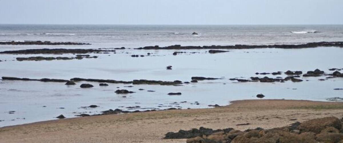 A rocky shoreline with tide pools and a sandy beach.
