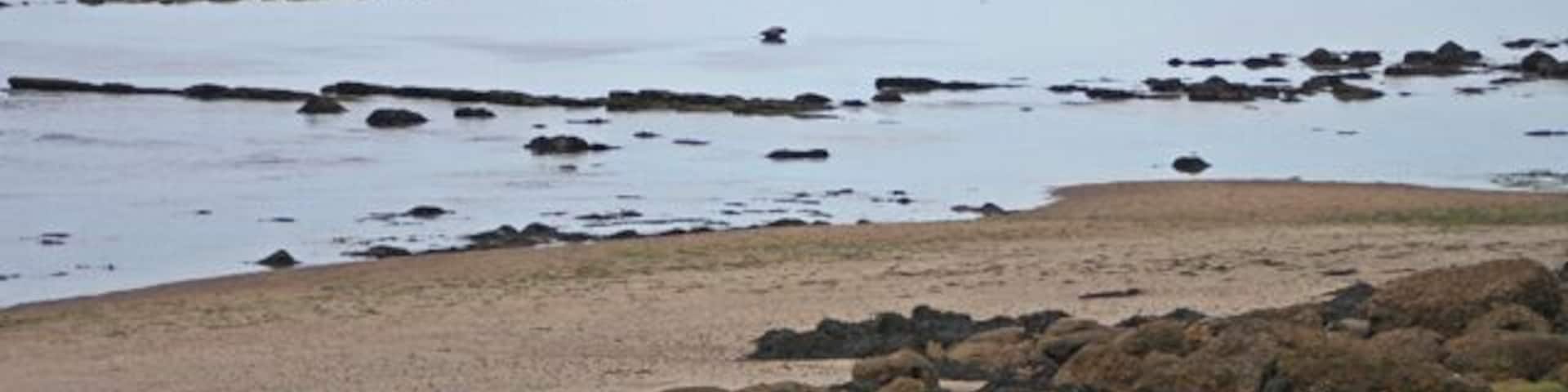 A rocky shoreline with tide pools and a sandy beach.