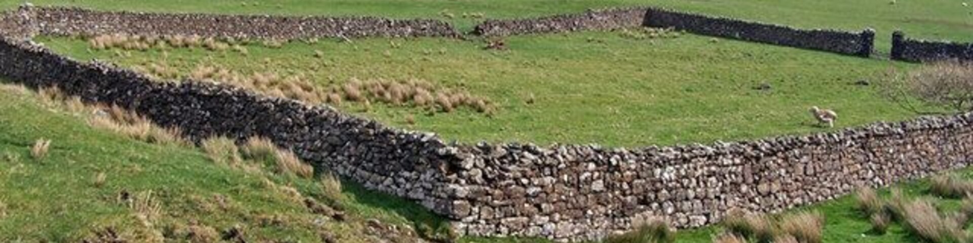 Un muro de piedra en un campo cubierto de hierba con colinas onduladas al fondo.