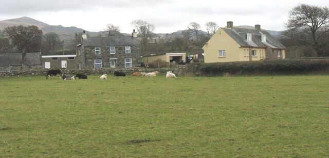 Cattle at Garth-y-glo Farm