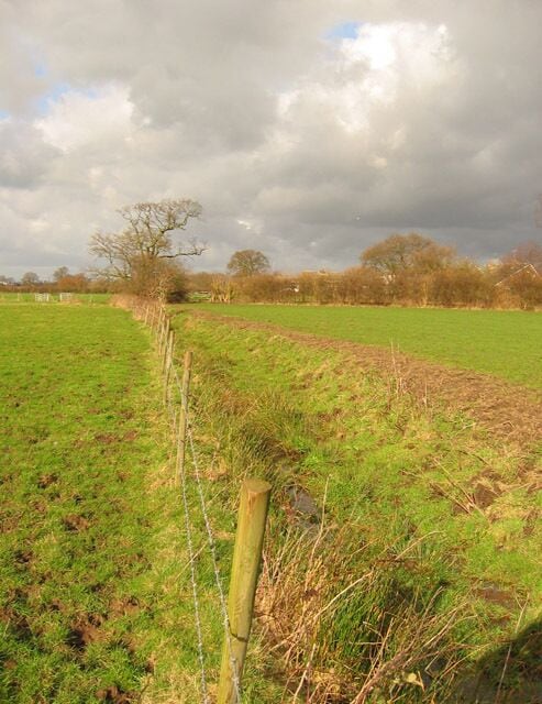Brook near Wistaston An unnamed tributary from Cheney Brook, just to the west of the village of Wistaston (which can be seen on the right). The brook at this point runs north-south, but turns 45 degrees westwards at the tree (left), where it is crossed by a small footbridge