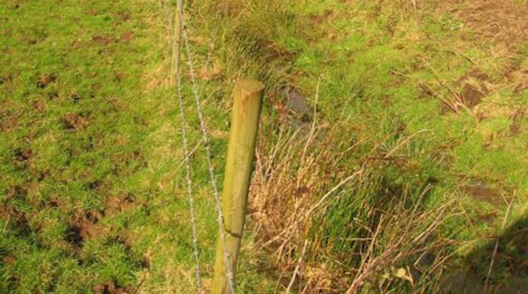 Brook near Wistaston An unnamed tributary from Cheney Brook, just to the west of the village of Wistaston (which can be seen on the right). The brook at this point runs north-south, but turns 45 degrees westwards at the tree (left), where it is crossed by a small footbridge