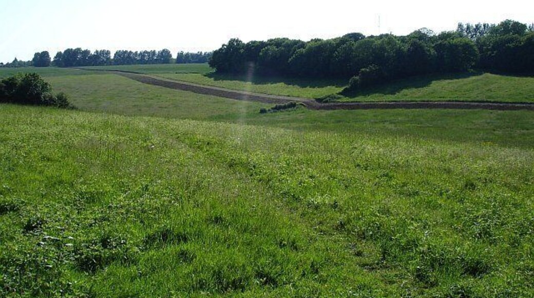 Cleared strip. This seems to be a continuation of the cleared ground seen in 183748 and 183751. It has to be for a pipeline or something.