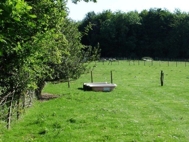 Pink baths for sheep. I dare say the sheep would welcome a cool bath in this heat.