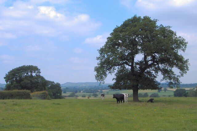 On the Sandstone Trail, Bickleywood. View north on the Sandstone Trail at Bickleywood, Bickley, with the central Cheshire sandstone ridge in the distance.