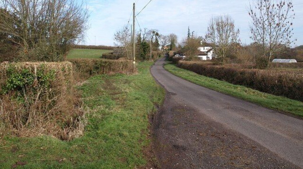 Lane to Corfe The lane from Feltham approaches Corfe. The variable width of the verges and the area enclosed by hedges gives it the flavour of a drove.