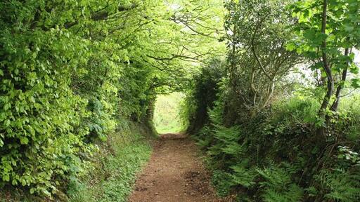 Wiveliscombe: West Deane Way. Looking south east along a bridleway also know as Jews Lane: it leads to Wiveliscombe
