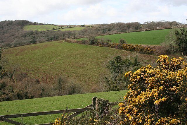 Hillside below Penpell Farm.