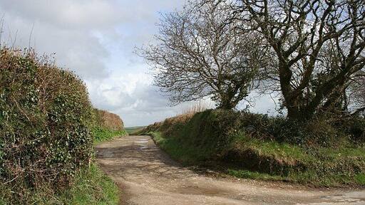 Entrance Road to a Farm.