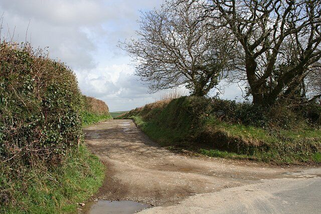 A narrow rural road flanked by hedgerows and trees, leading towards a distant horizon.