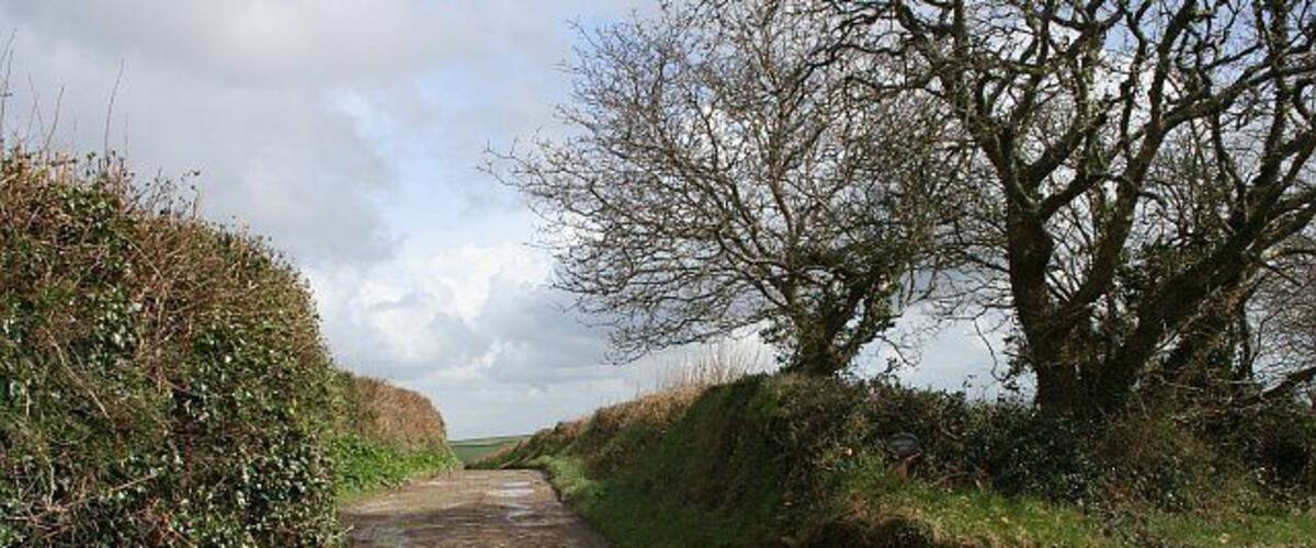 A narrow rural road flanked by hedgerows and trees, leading towards a distant horizon.