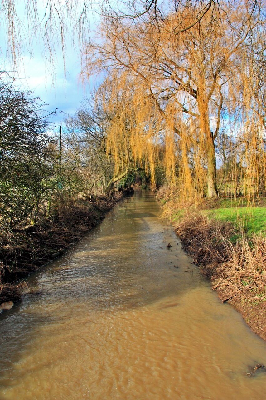 Brompton Beck Taken from the bridge over the beck, this had the appearnce of going into a tunnel of weeping willow branches