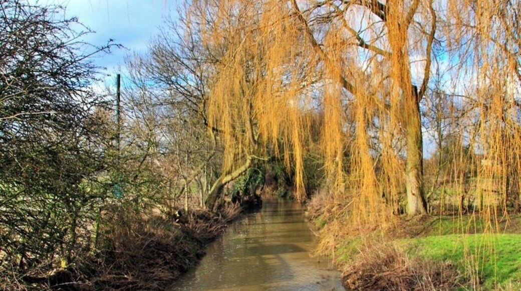 Brompton Beck Taken from the bridge over the beck, this had the appearnce of going into a tunnel of weeping willow branches