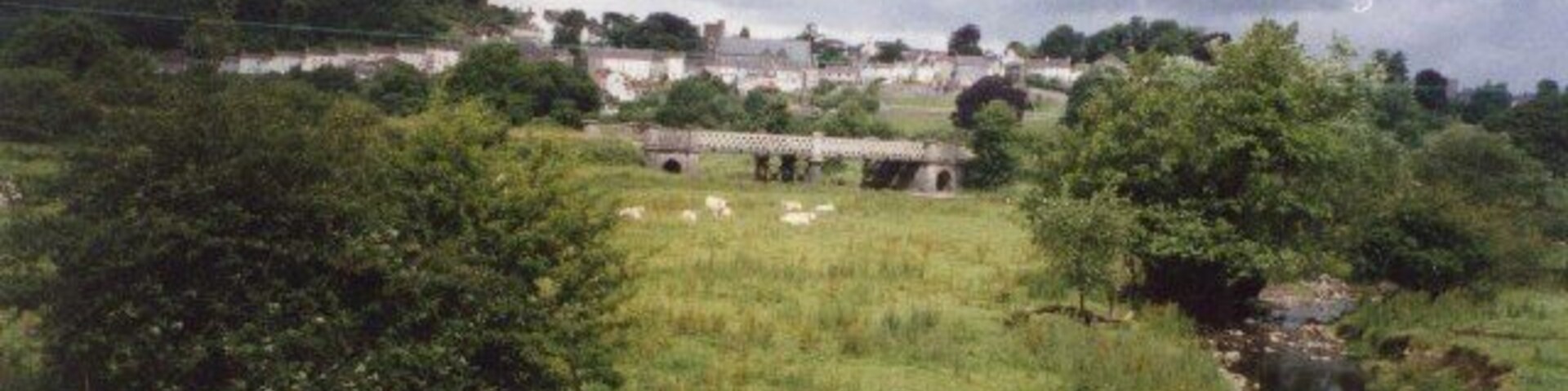 Rural scene near Llandeilo. The stream flows down into the River Tywi, which is crossed by a lattice-girder railway bridge. The cows seem quite content with their weedy (or wild flower rich?) pasture. Llandeilo is in the background.