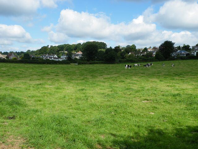 Field at Felton By West Lane.