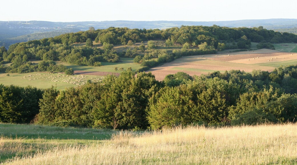 Naturschutzgebiet Eichköppel bei Eichelsdorf über das Eichelbachtal hinweg betrachtet