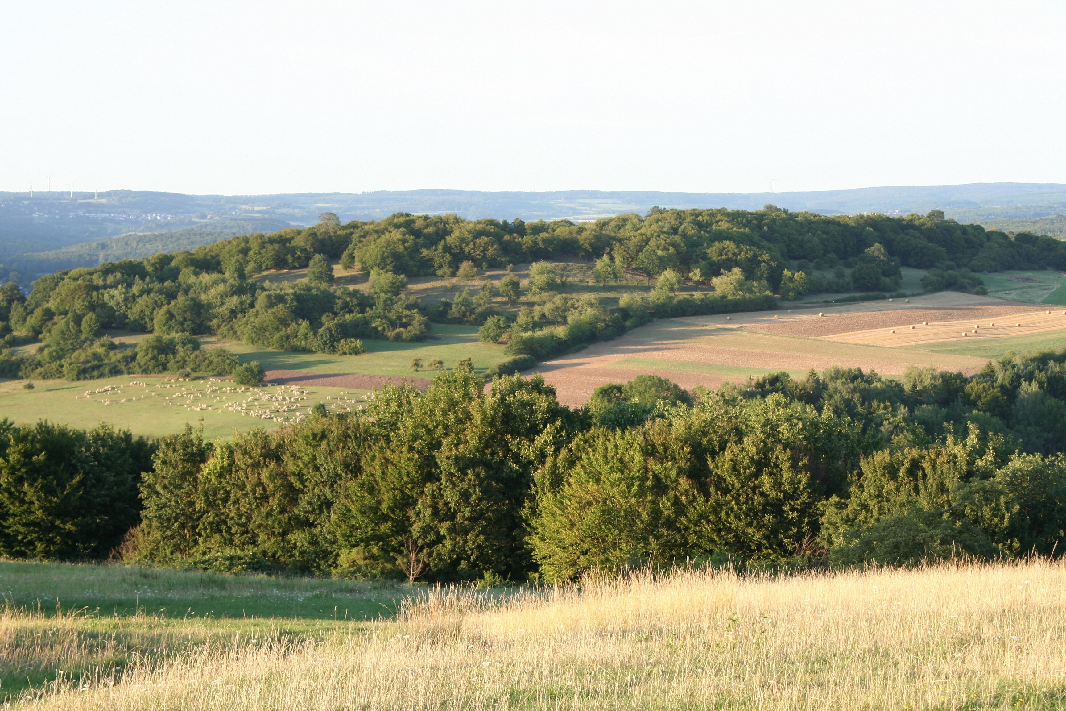 A rural landscape with rolling hills, dense forests, and scattered fields.