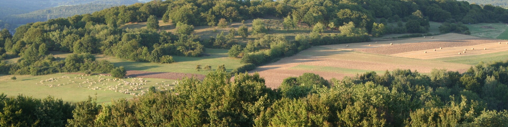 A rural landscape with rolling hills, dense forests, and scattered fields.