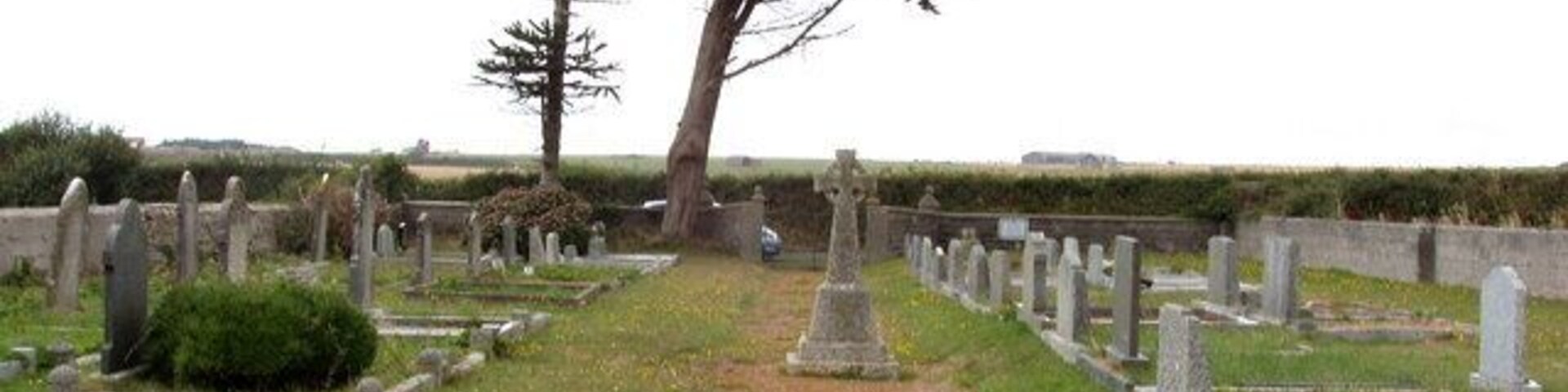 Un cementerio con lápidas y un árbol grande en el centro.