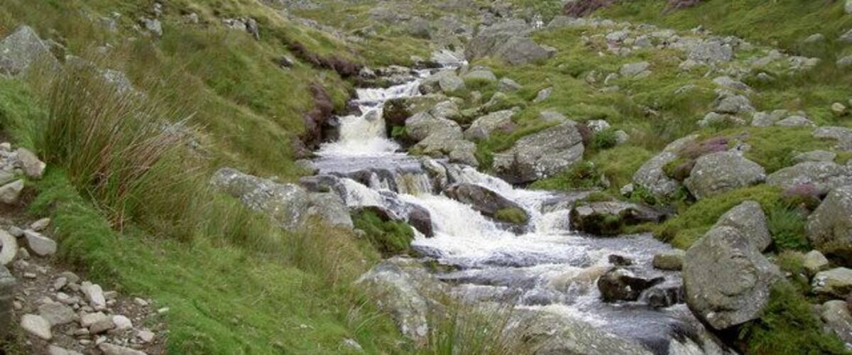 Looking up the river