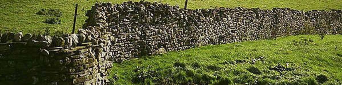 Ancient terracing at West Scrafton This picture shows the ancient terracing at Caygill known as Granny Banks on the slope down to the River Cover from West Scrafton. The view is taken from Flats Hill near Carlton.