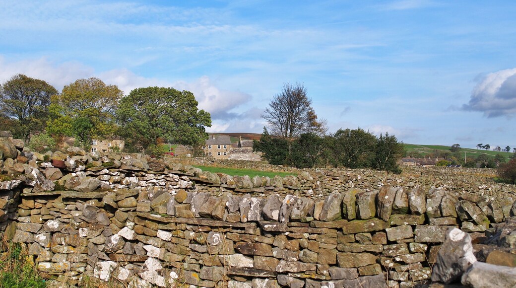 Dry stone walls by Carlton village, North Yorkshire