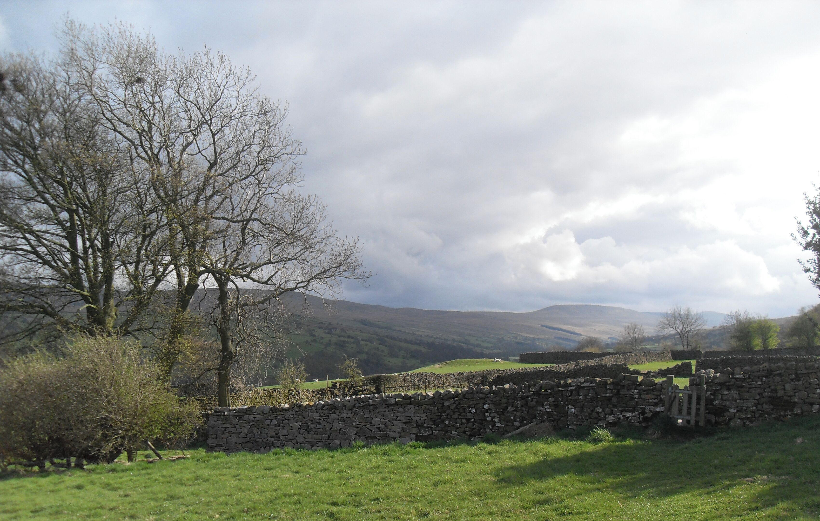 A stone wall, a tree, and a grassy field with a cloudy sky.