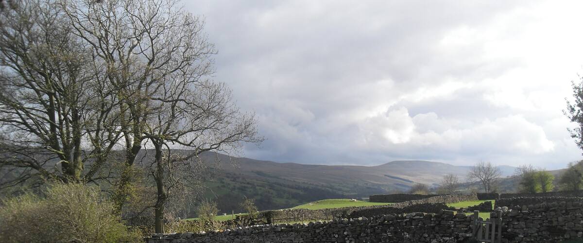 A stone wall, a tree, and a grassy field with a cloudy sky.