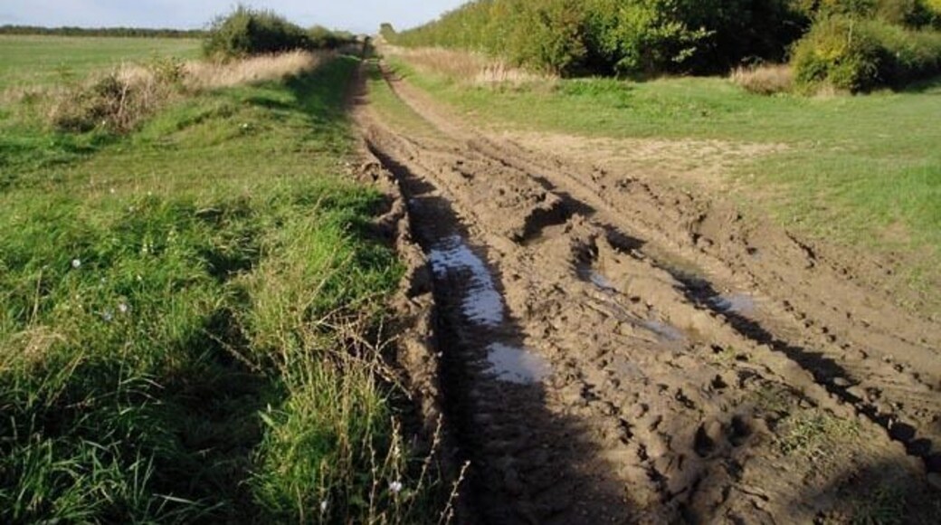 Byway above Barton. A curious right-of-way, which leads away from the B1046 for a mile and then stops dead. It would appear to have no use other than access to the fields.
