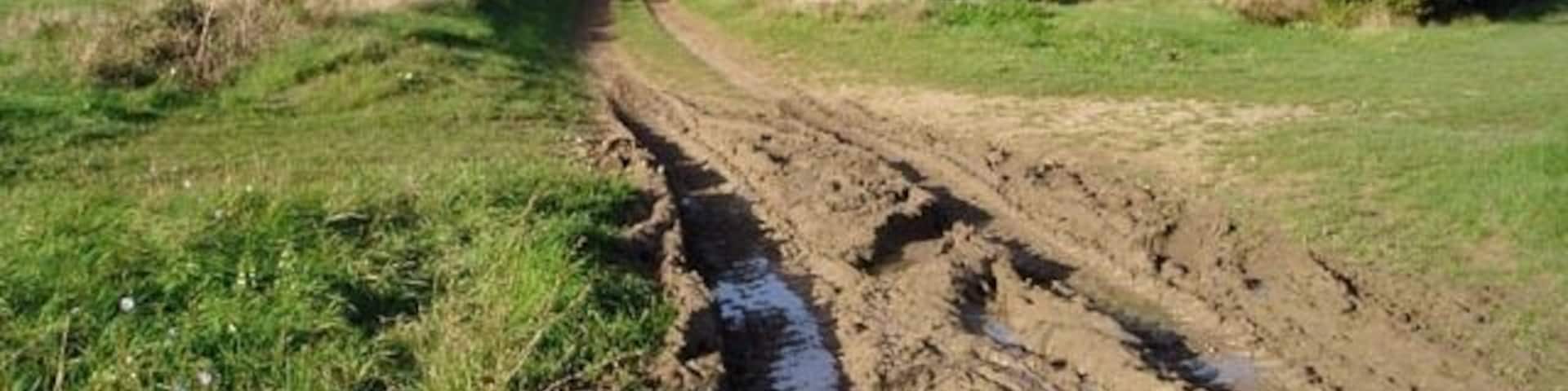 Byway above Barton. A curious right-of-way, which leads away from the B1046 for a mile and then stops dead. It would appear to have no use other than access to the fields.