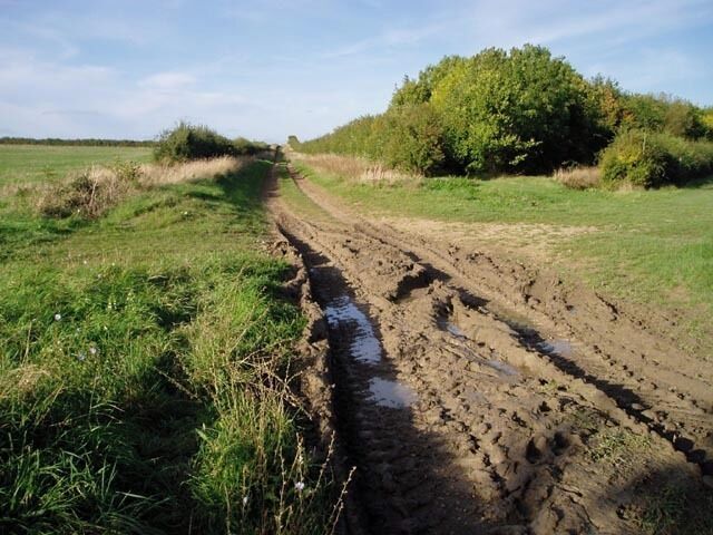 A muddy, unpaved rural road with puddles and tracks.