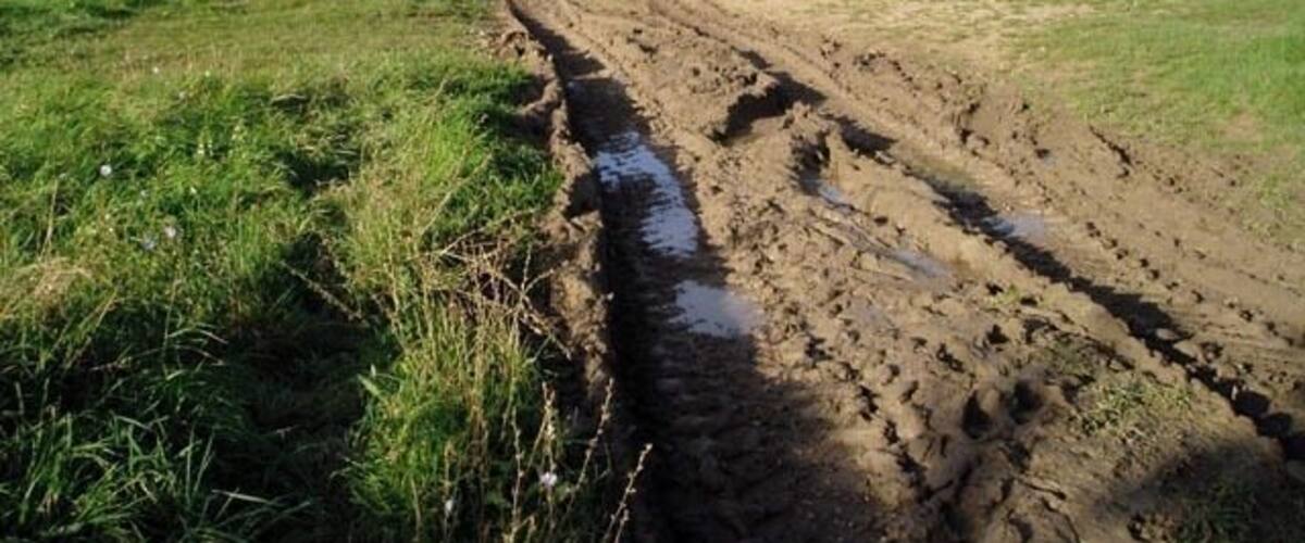 A muddy, unpaved rural road with puddles and tracks.