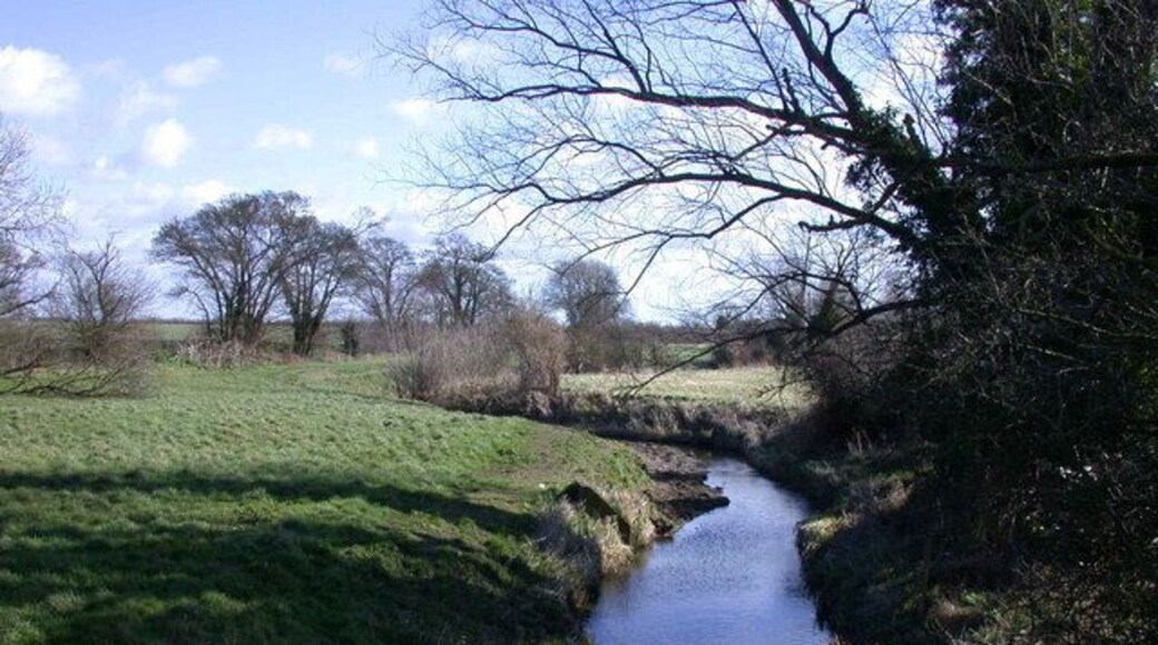 Bourn Brook from Barton Bridge View looking east