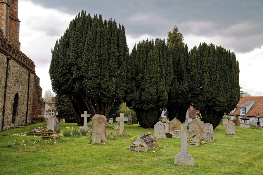 Graves and yew trees in the churchyard at the north of St Nicholas' Church at Castle Hedingham in Essex, England. Camera: Canon EOS 6D with Canon EF 24-105mm F4L IS USM lens. Software: large RAW file lens-corrected, optimized and downsized with DxO OpticsPro 10 Elite, Viewpoint 2, and Adobe Photoshop CS2.
