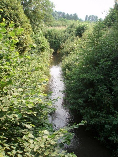 River Cam. Taken from a footbridge to the west of Coaley mill.