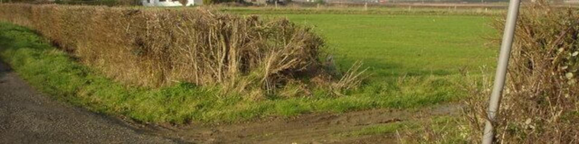Beechmeadow Farm, Cambridge