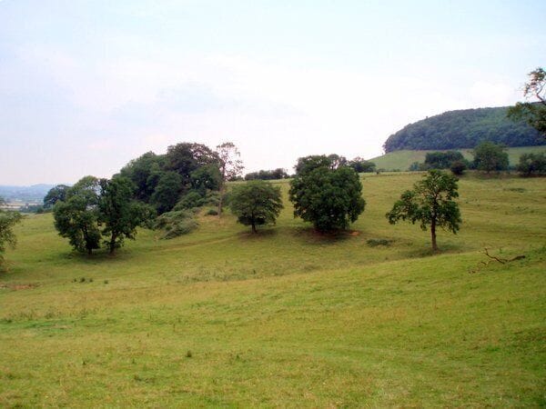 Cotswold edge. Looking north from Lever's hill along the west facing slope of the Cotswold hills.